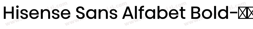 Hisense Sans Alfabet Bold字体转换
